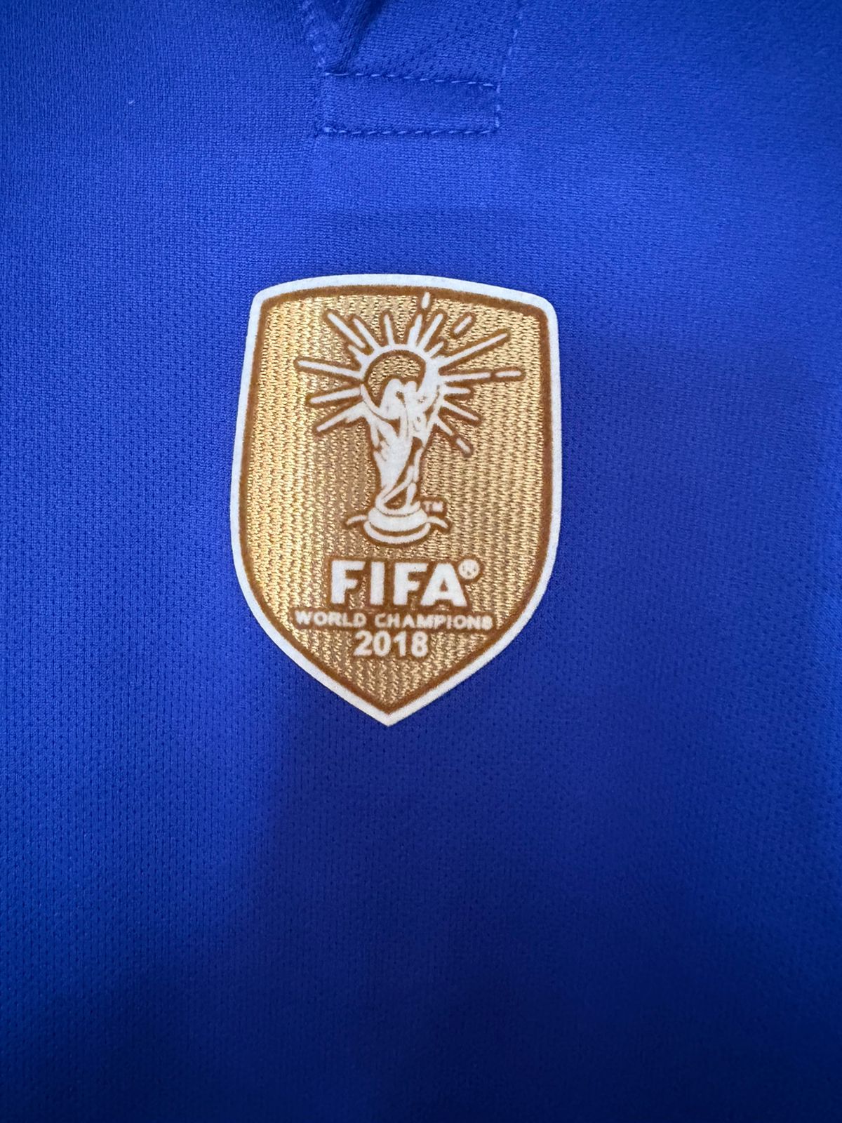 France 2019 Centenary jersey | POGBA